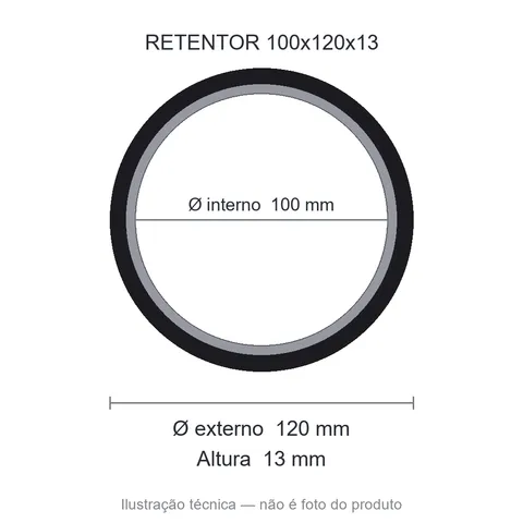Retentor 100 mm x 120 mm x 13 mm ZSG 100x120x13 BRG