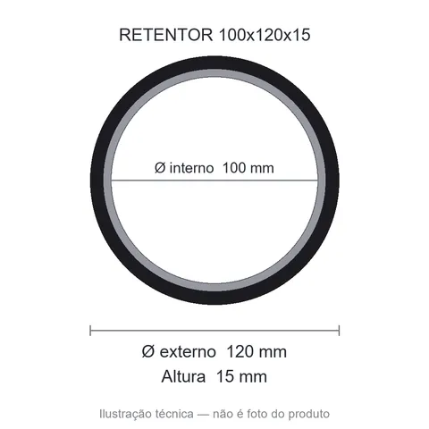 Retentor 100 mm x 120 mm x 15 mm SAV 100x120x15 7313
