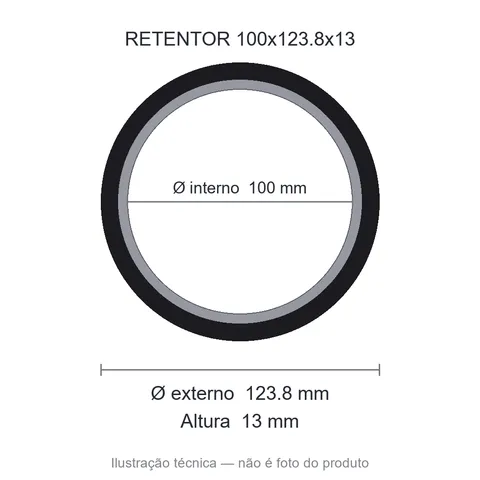 Retentor 100 mm x 123,8 mm x 13 mm SAV 01801 100x123,8x13 B