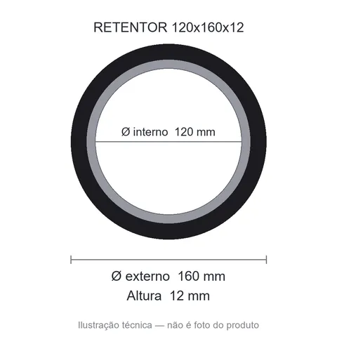 Retentor 120 mm x 160 mm x 12 mm ZSG 120x160x12 BRG