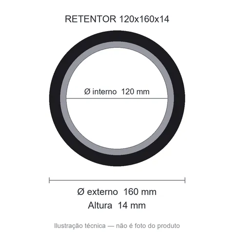 Retentor 120 mm x 160 mm x 14 mm ZSG 120x160x14 BRG 44672