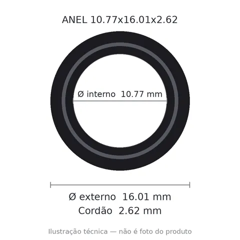 Anel 2111 10,77x16,01x2,62