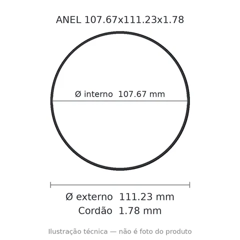 Anel 2046-107,67x111,23x1,78