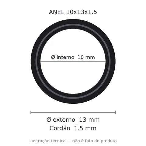 Anel 7602 10x13x1,5