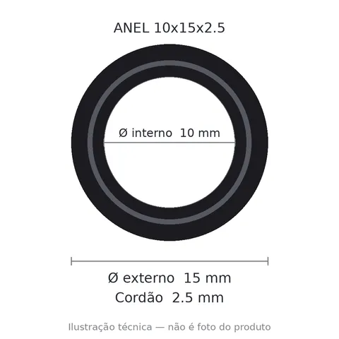 Anel 7697 10x15x2,5