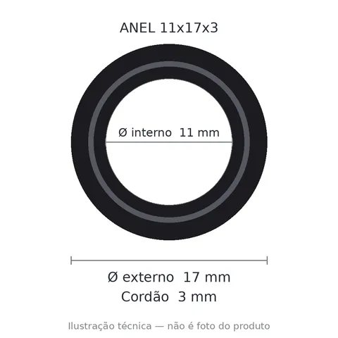 Anel 7021 11x17x3