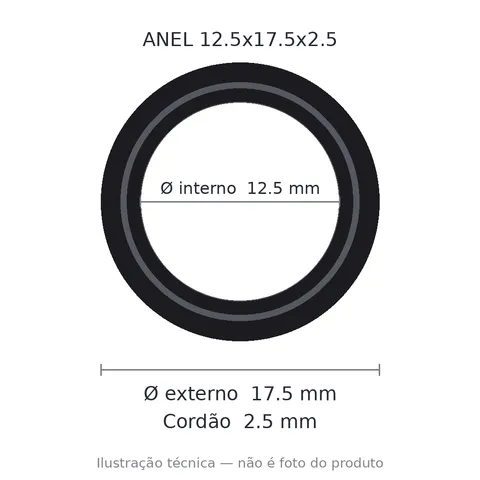 Anel 7229 12,5x17,5x2,5