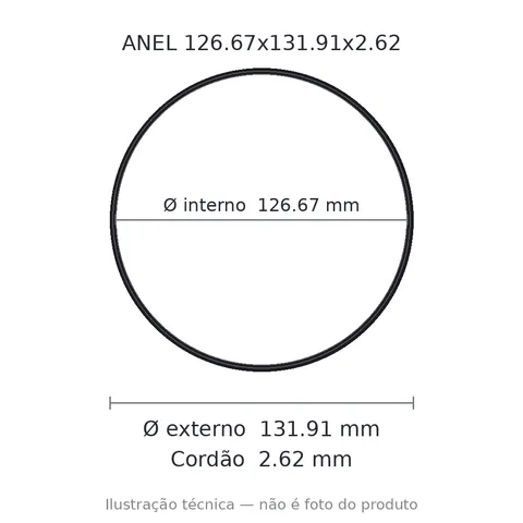 Anel 2159 126,67x131,91x2,62
