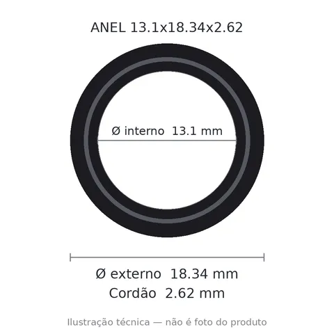 Anel 7205 13,1x18,34x2,62