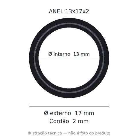 Anel 7493 13x17x2