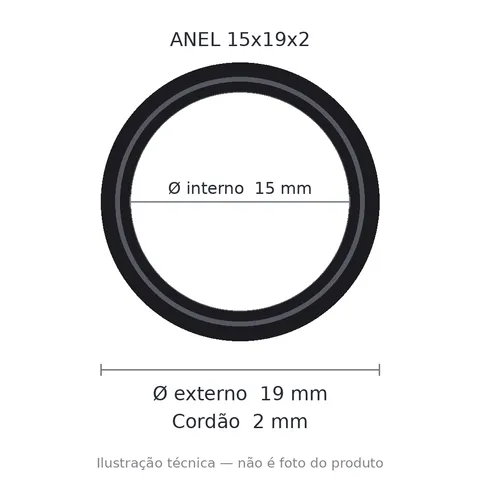 Anel 7241 15x19x2 Vitom