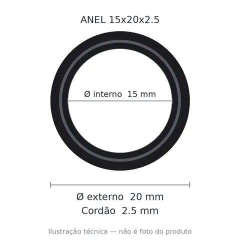 Anel 7224 15x20x2,5