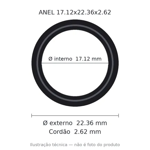 Anel 2115 17,12x22,36x2,62