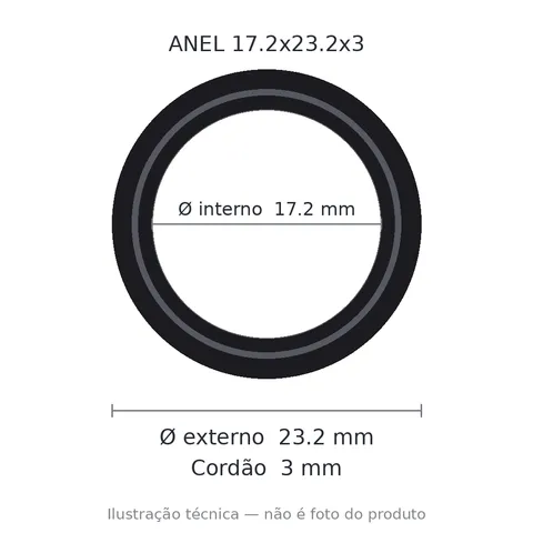 Anel 7317 17,2x23,2x3