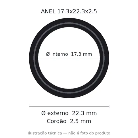 Anel 7049 17,3x22,3x2,5