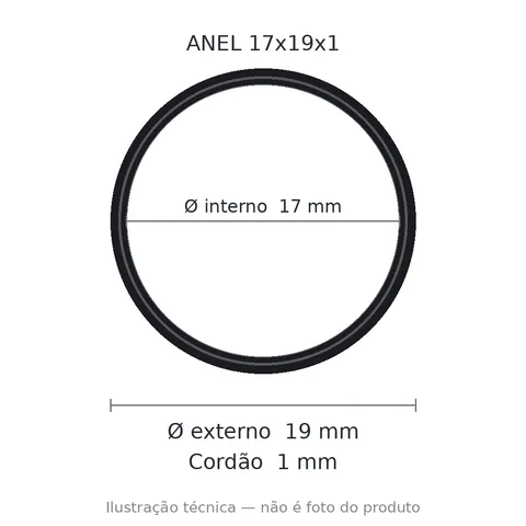 Anel 7653 17x19x1