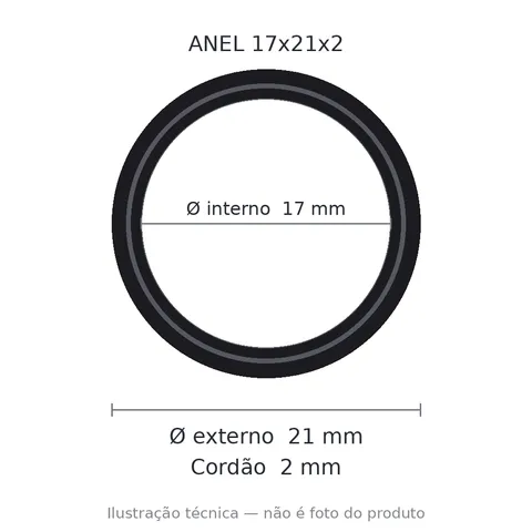 Anel 7177 17x21x2