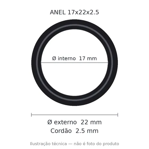 Anel 7405 17x22x2,5