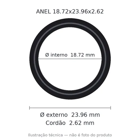 Anel 2116 18,72x23,96x2,62