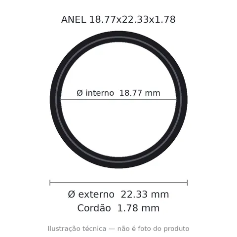 Anel 2018 18,77x22,33x1,78