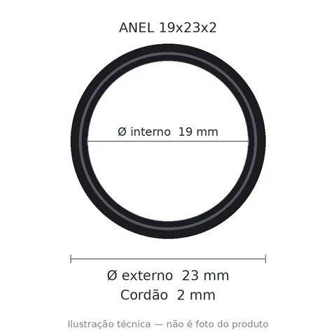 Anel 7242 19x23x2
