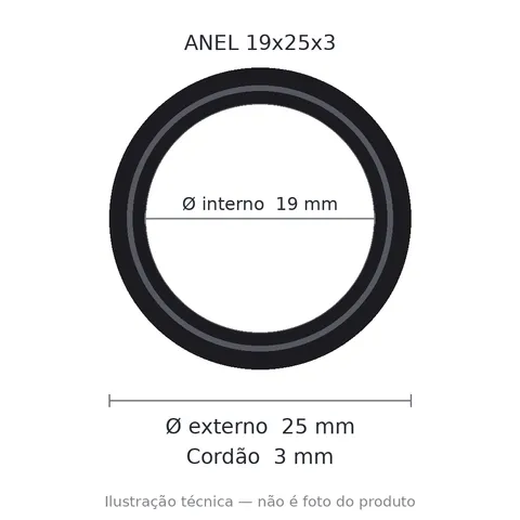 Anel 7437 19x25x3