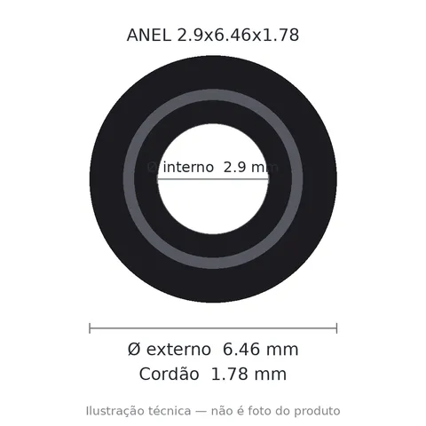 Anel 2006 2,9x6,46x1,78