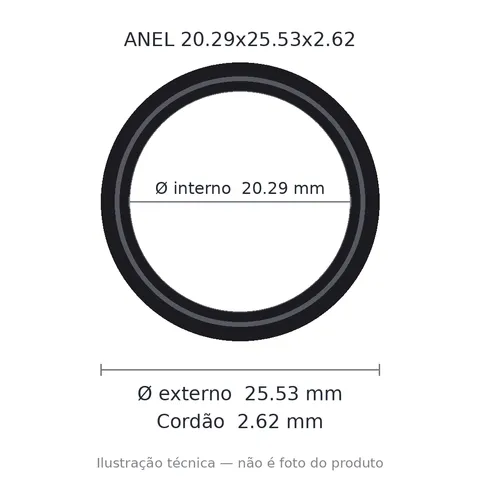 Anel 2117 20,29x25,53x2,62