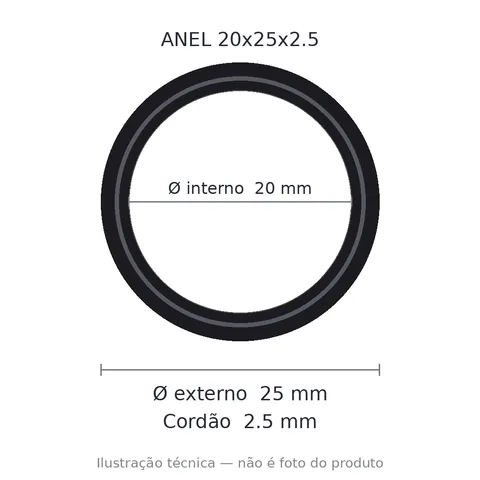 Anel 7441 20x25x2,5