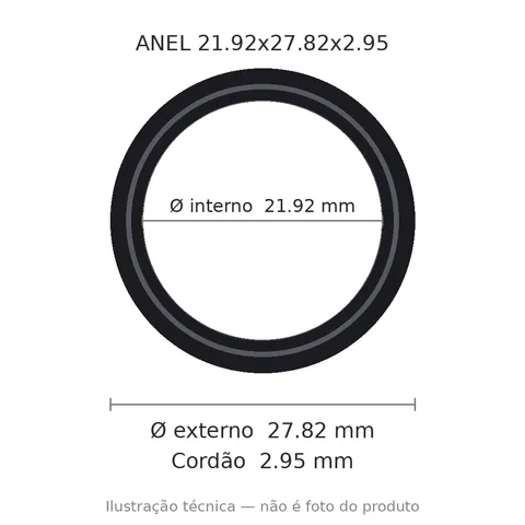 Anel 3911 21,92x27,82x2,95