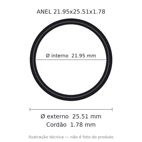 Anel 2020 21,95x25,51x1,78