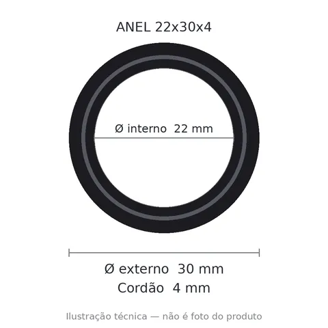 Anel 7278 22x30x4