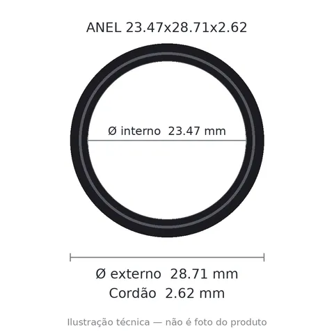 Anel 2119 -23,47x28,71x2,62