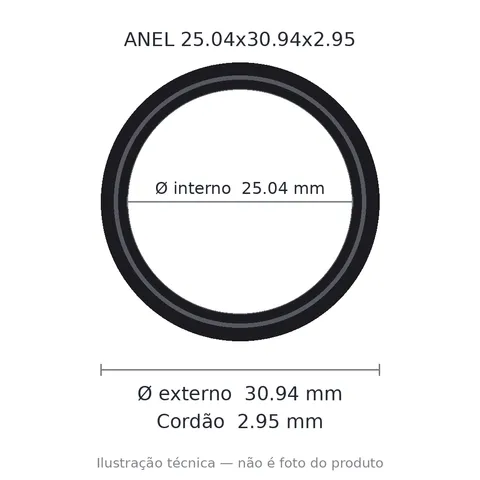Anel 3913 25,04x30,94x2,95