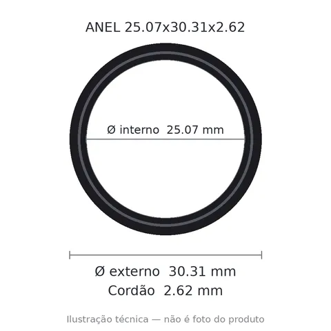 Anel 2120 25,07x30,31x2,62