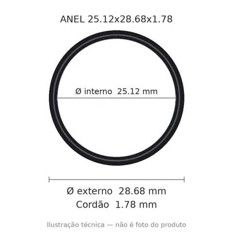 Anel 2022 25,12x28.68x1,78