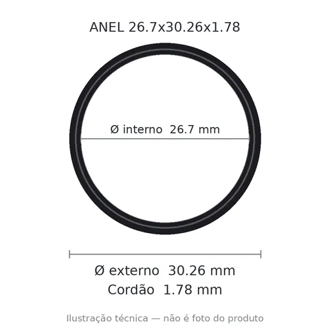 Anel 2023 26,7x30,26x1,78
