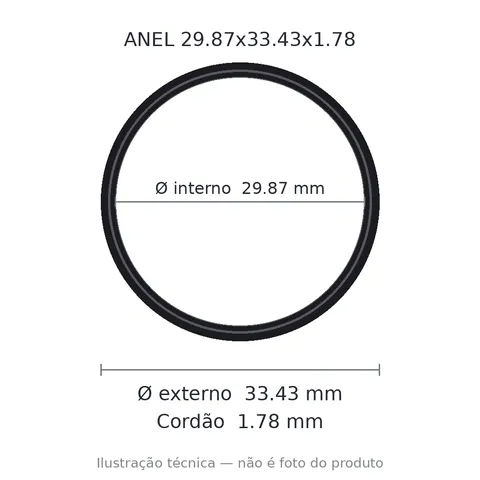 Anel 2025 29,87x33,43x1,78