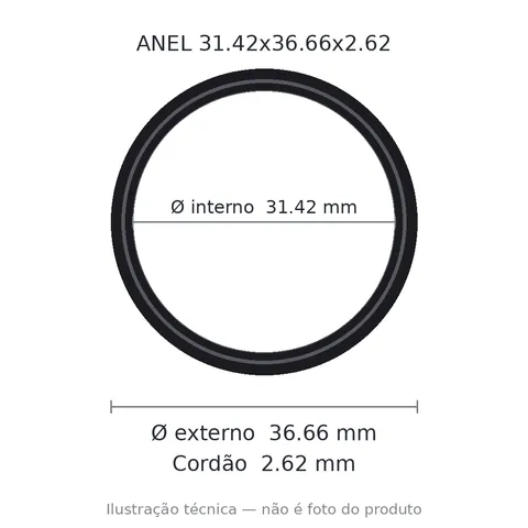 Anel 2124 31,42x36,66x2,62