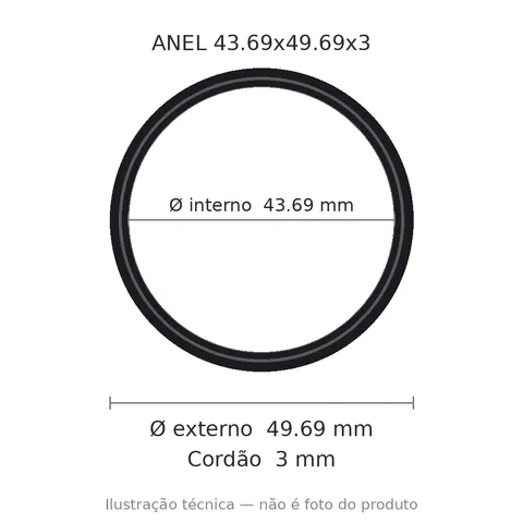 Anel 3924 43,69x49,69x3