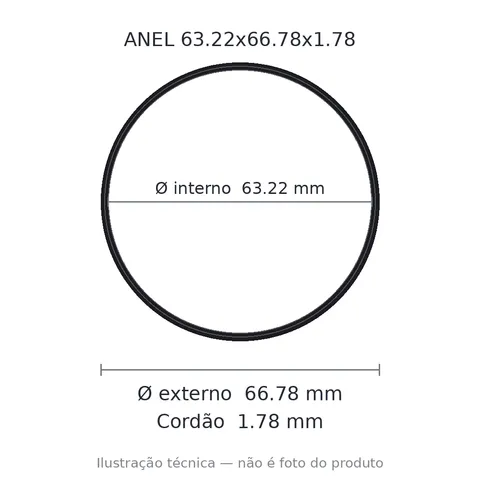 Anel 2037 63,22x66,78x1,78