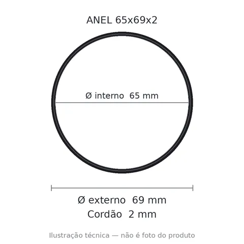 Anel 7973 65x69x2