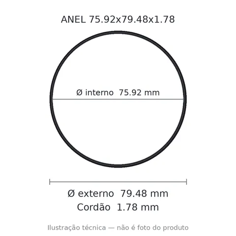Anel 2041 75,92x1,78