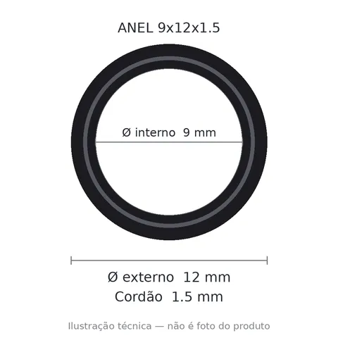 Anel 7109 9x12x1,5