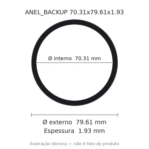 Anel Backup 70,31x79,61x1,93