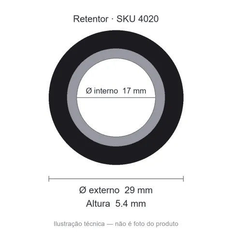 Retentor 17 mm x 29 mm x 5,4 mm - 6080 17x29x5,40 BRGP T.P