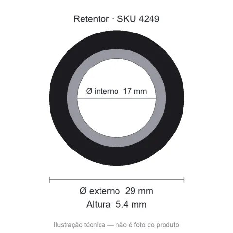 Retentor 17 mm x 29 mm x 5,4 mm - 17x29x5,40 6080 BAGP
